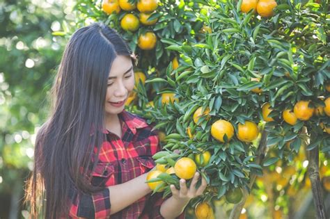 La mujer joven en el jardín cosecha la naranja en el jardín Foto Gratis