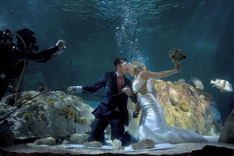 Underwater wedding and legal wedding – Persun.cc Official Blog