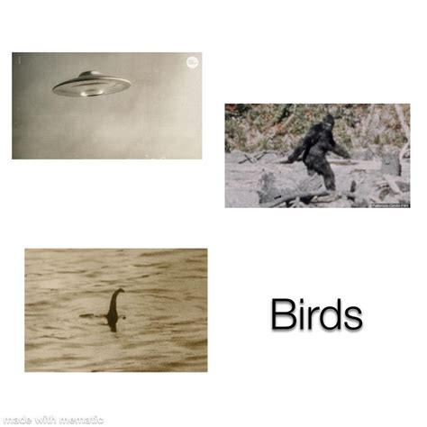 real  people   stop lying