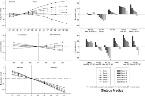 The Effect Of Hip Position On The Length Of Trochanteric Muscles