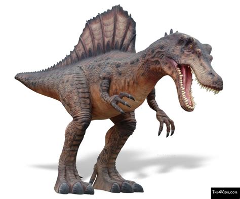 Hunting Spinosaurus - The 4 Kids