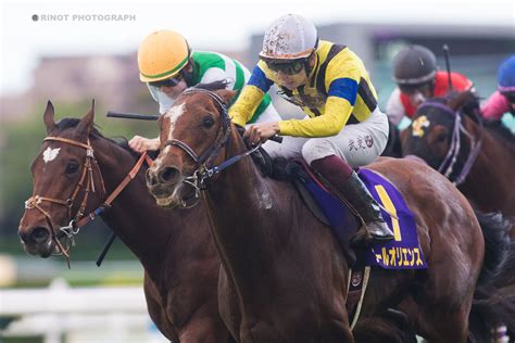 競馬ニュース 国内では大阪杯、海外ではドバイワールドカップデーが開催など 今週末の競馬（2024年03月30日、31日） ウマフリ