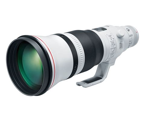 Canon issues advisory for new super-telephoto lenses, promises firmware ...