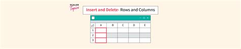 How To Add And Delete Rows And Columns In Excel Scaler Topics