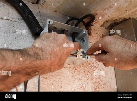 Electrician Installing A Wiring Stock Photo Alamy