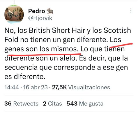 El Caballero Pajero On Twitter Me Dan La Razón Y Yo Solo Quería Aclarar Lo De Los Gatitos