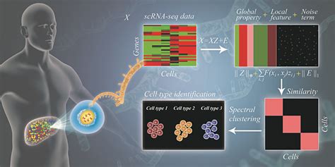 Bioinformatics – EMBS