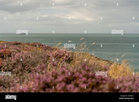 Bull Bay Anglesey Wales Stock Photo - Alamy