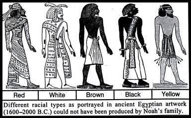 Ancient Egyptian People Race