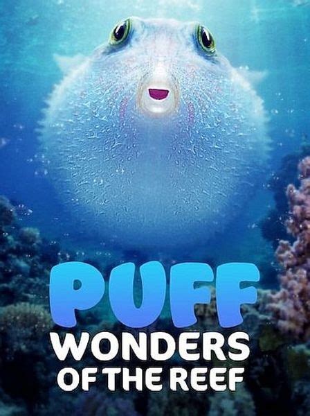 Чудеса кораллового рифа Puff Wonders of the Reef 2021 WEBRip 1080p