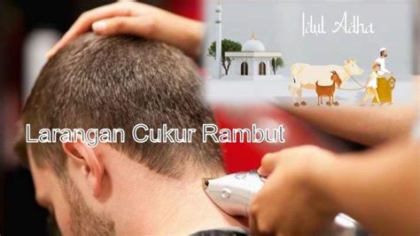 Larangan Potong Rambut Dan Kuku Mulai Zulhijjah Untuk Siapa Saja