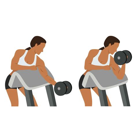 Woman Doing One Arm Dumbbell Preacher Curl 23686381 Vector Art At Vecteezy