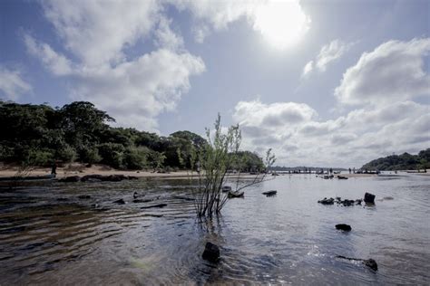 Veja como as microbacias da Amazônia estão sob ameaça Pará Terra Boa