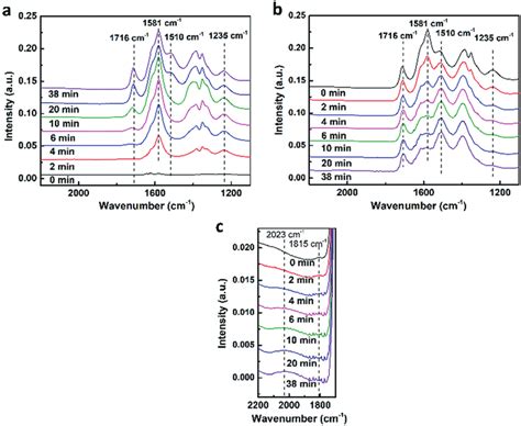 a) ATR-IR spectra of the reduction of nitrite with formic acid at pH 5 ...