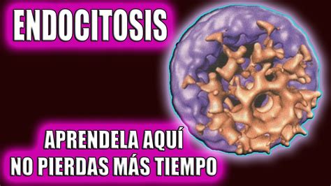 ENTENDÉ TODO sobre la ENDOCITOSIS CON ESTE VIDEO PINOCITOSIS