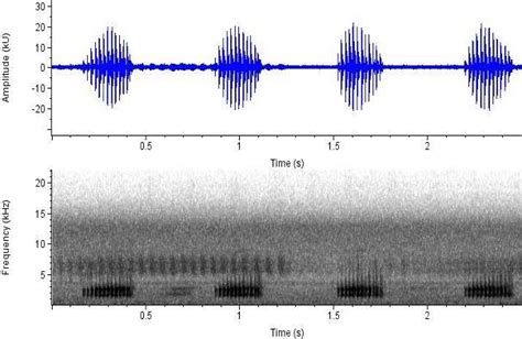 Spectograms Above And Oscillograms Below Of Phrynobatrachus Auritus