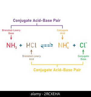 Teor A De La Reacci N Cido Base De Bronsted Lowry Ilustraci N