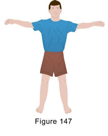 Overhead Stretch Exercise - Sinew Therapeutics