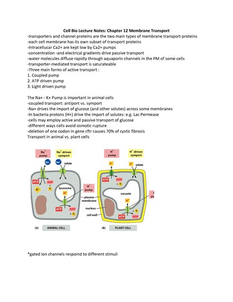 Cell Bio Lecture Notes Chapter Membrane Transport Cell Bio Lecture