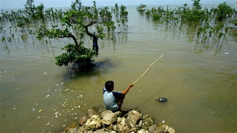 Alerta Por El Cambio Climático ¿cuán Responsable Es América Latina