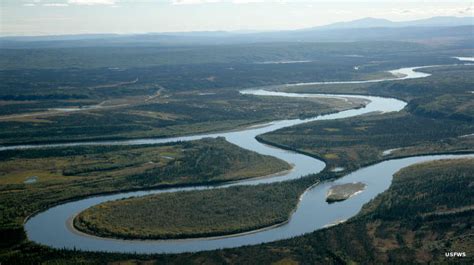 Koyukuk Wild & Scenic River | National Rivers