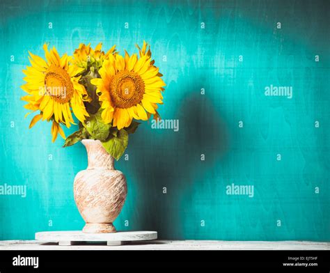 Sunflower Still Life Stock Photo Alamy