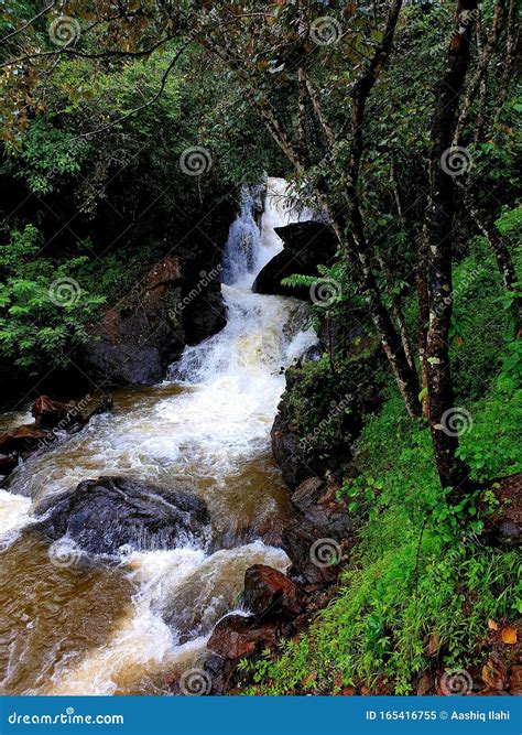 Vagamon, Kerala stock image. Image of waterfalls, nature - 165416755