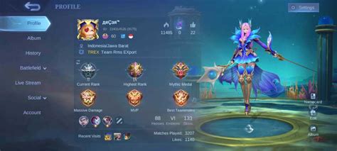 Near Maxed Emblems Skins Heroes Epic Odette Kagura