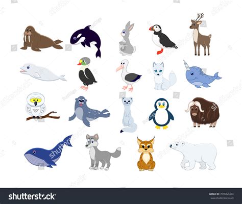 Big Set North Animals Cartoon Arctic Stock Vector (Royalty Free ...