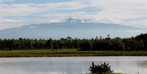 The Ark Lodge Aberdare National Park Arenatours