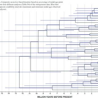 Pdf Phylogenomic Evidence For Ancient Hybridization In The Genomes Of