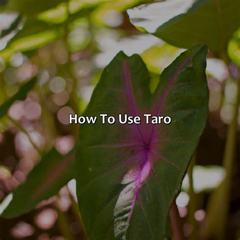 What Color Is Taro