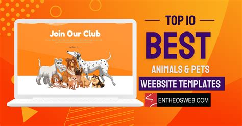 Top 10 Best Animals And Pets Website Templates Entheosweb