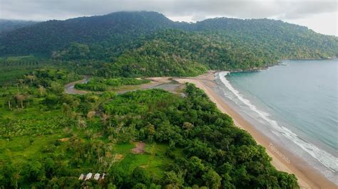 Pesona Indah Pantai Bandealit Jember Taman Nasional Meru Betiri Youtube