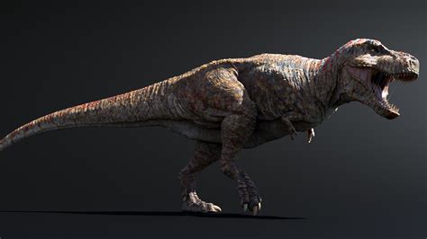 Günter Nikodim Tyrannosaurus Rex 2020 Revision