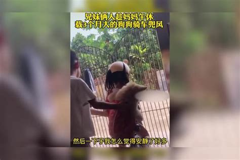 兄妹两人趁妈妈午休，载3个月大的狗狗骑车兜风！ 狗狗 兄妹 妈妈