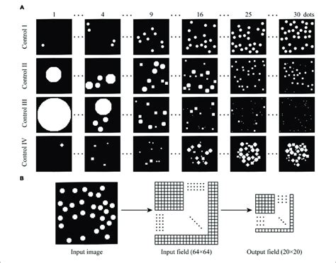 Schematic Of The Stimulus Set And Neural Network Structure A