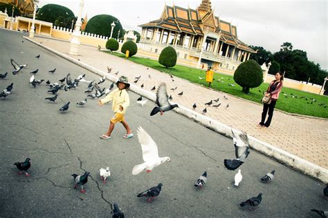 Good Morning Phnom Penh Birds In Royal Palace Flickr