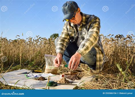 Agronomy Specialist Taking Soil Sample In Test Tube Outdoors Stock