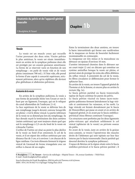 Solution Anatomie De L Appareil Uro G Nital Male Studypool