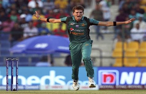 Fast Bowler Shaheen Afridi Battle Ready For T World Cup Such Tv