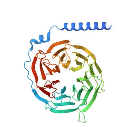 Rcsb Pdb Thl Cryo Em Structure Of Epinephrine Bound Alpha A