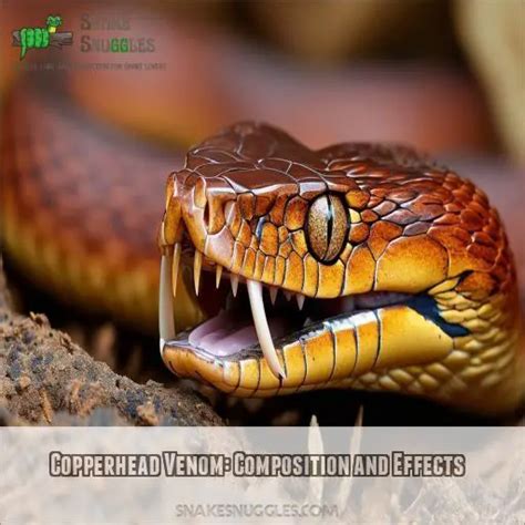 Can a Copperhead Snake Kill a Human? Facts, Risks, and Safety Tips