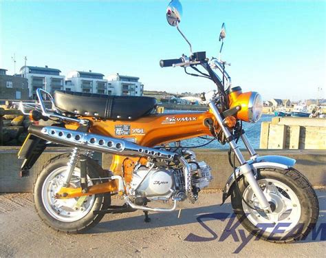 Skyteam 125cc 4 Stroke Skymax Dax Monkey Motorcycle Mini Bike EEC