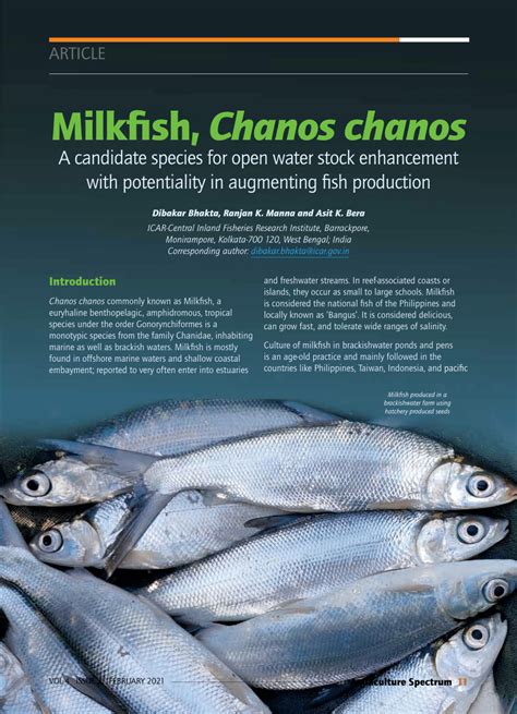 PDF Milkfish Chanos Chanos A Candidate Species For Open Water Stock