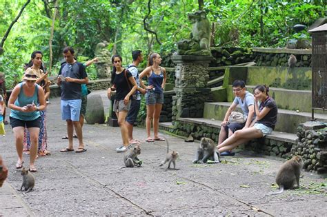 The Geek Travels The Monkeys Of Ubud