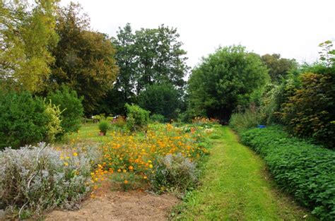 Photo à Le Mesnil le Roi 78600 Jardins potagers du Mesnil Le