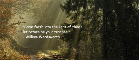 romantic poetrys definition characteristics hubpages