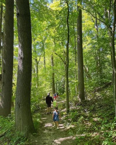 Best Hikes and Trails in River Bluff Park | AllTrails