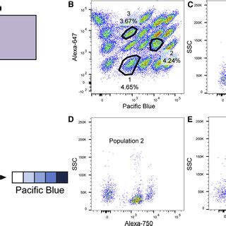 Optimization Of Fluorescent Cell Barcoding Technique For Use With Ipscs